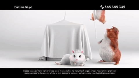 Nielimitowane rozmowy i smsy za złotówkę