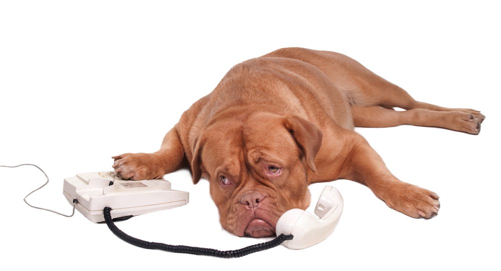 Telefon po godzinach szczytu