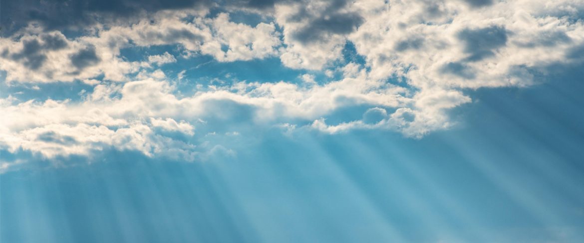 Dlaczego powinniście obejrzeć The Good Place?