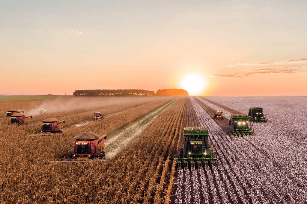 plantacje żywności